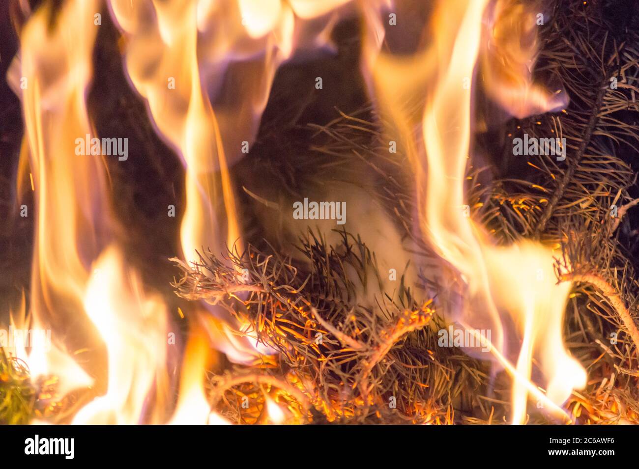 Feuer Stock Photo