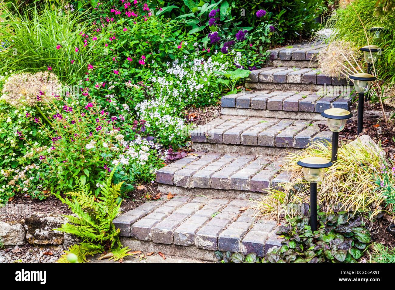 Block paved steps flanked by garden lighting leading up between herbaceous and shrub borders. Stock Photo