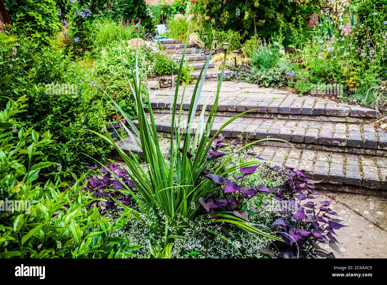 Block paved steps flanked by garden lighting leading up between herbaceous and shrub borders. Stock Photo