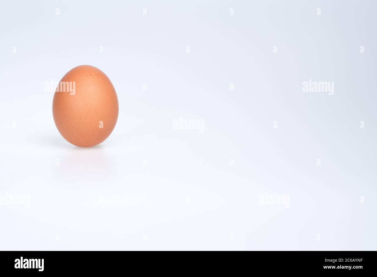 Brown chicken egg on white background Stock Photo