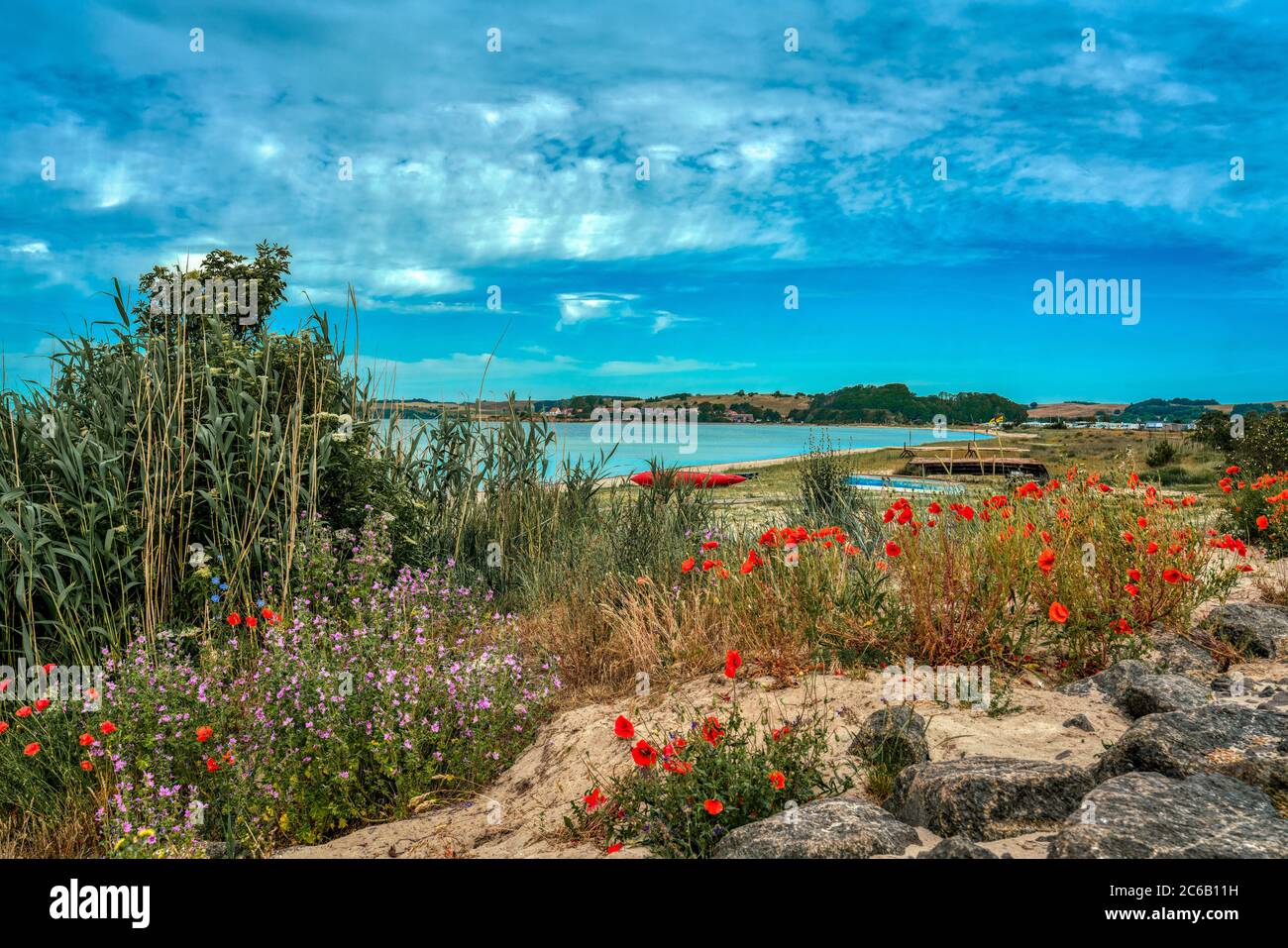 View from Thiessow across the baltic sea to Klein Zicker village on Ruegen island with flowers and boats on the beach Stock Photo