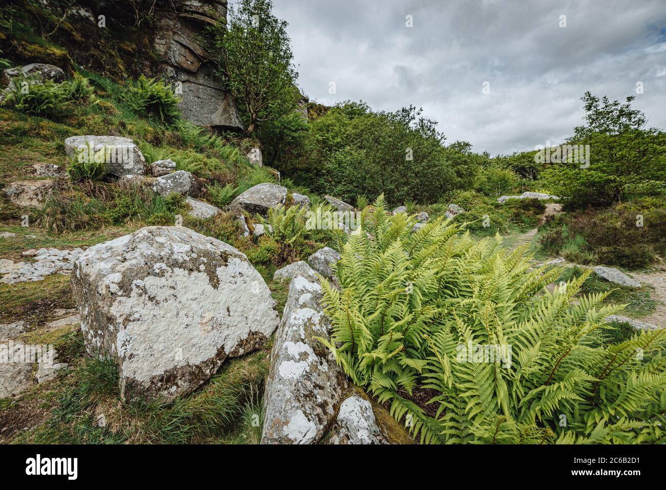 Haytor granite quarry, Haytor Down, Dartmoor, Devon, England, UK Stock
