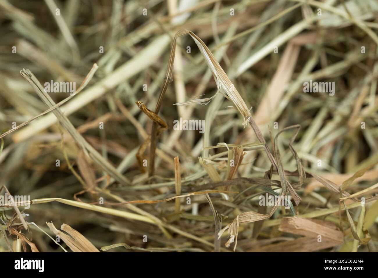 Grass Straw Heap High Resolution Stock Photography and Images - Alamy