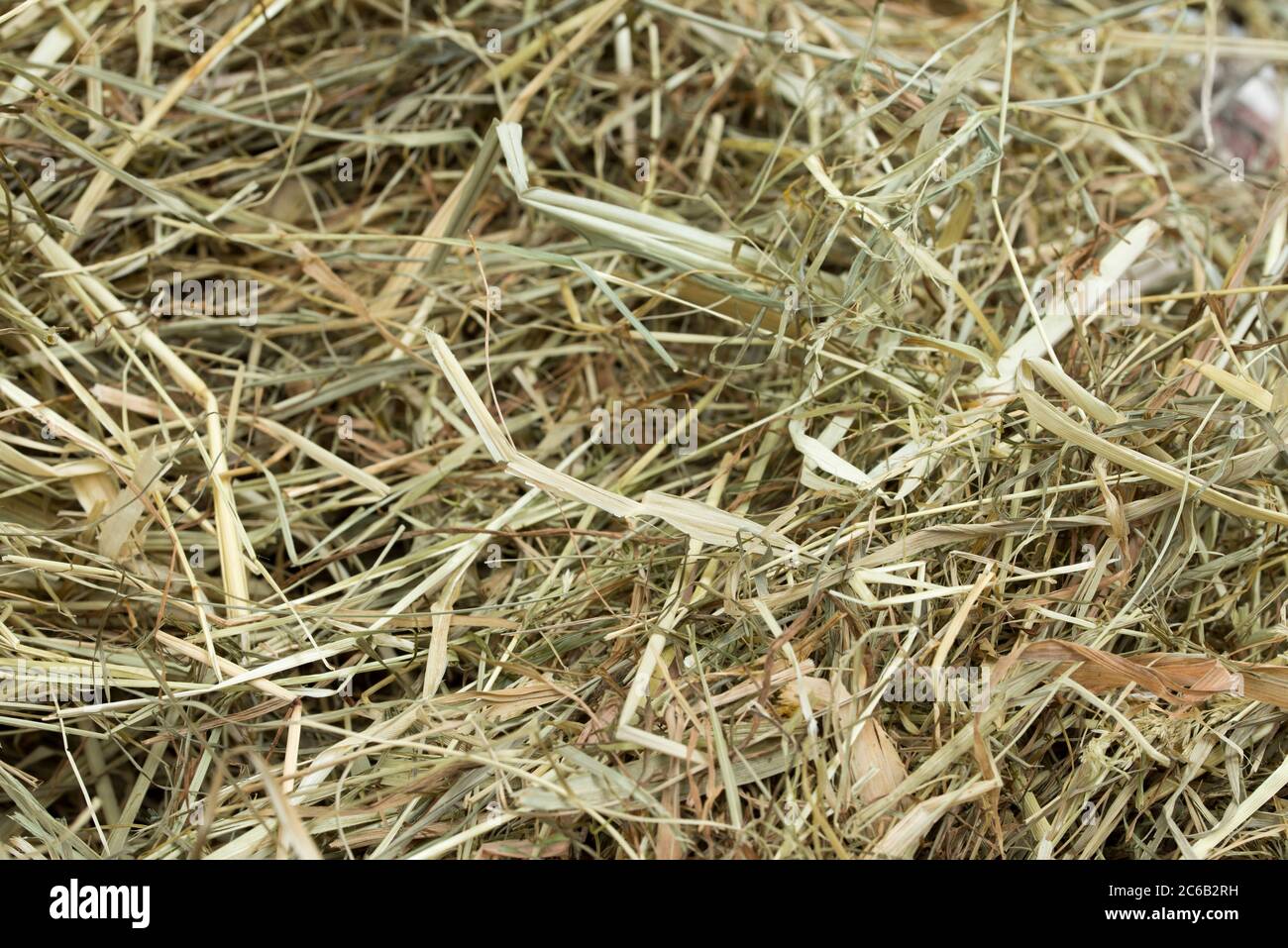 dried grass, hay straw macro, closeup Stock Photo