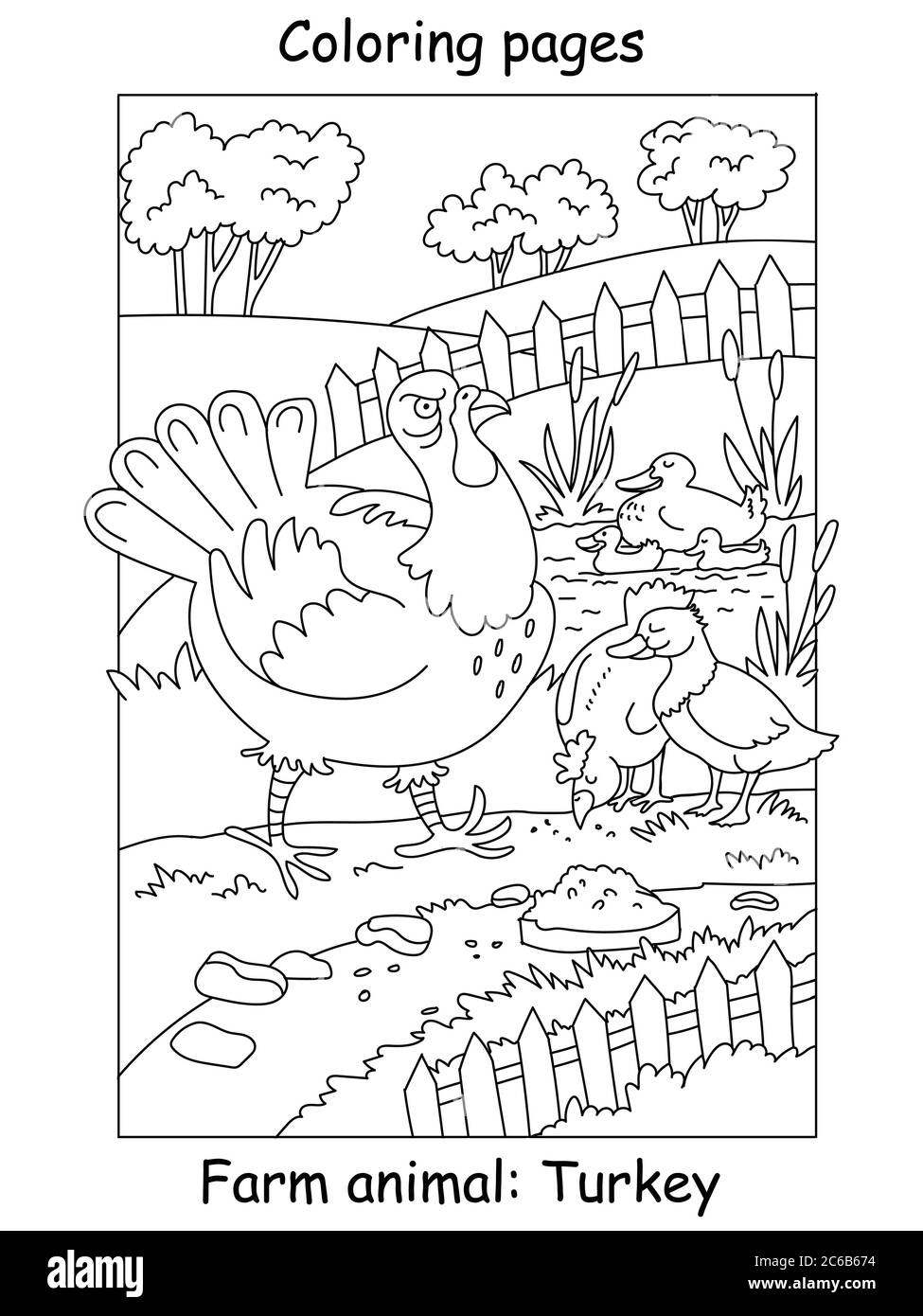 Vector coloring pages with funny angry turkey walking on the farm. Cartoon contour illustration isolated on white background. Stock illustration for c Stock Vector