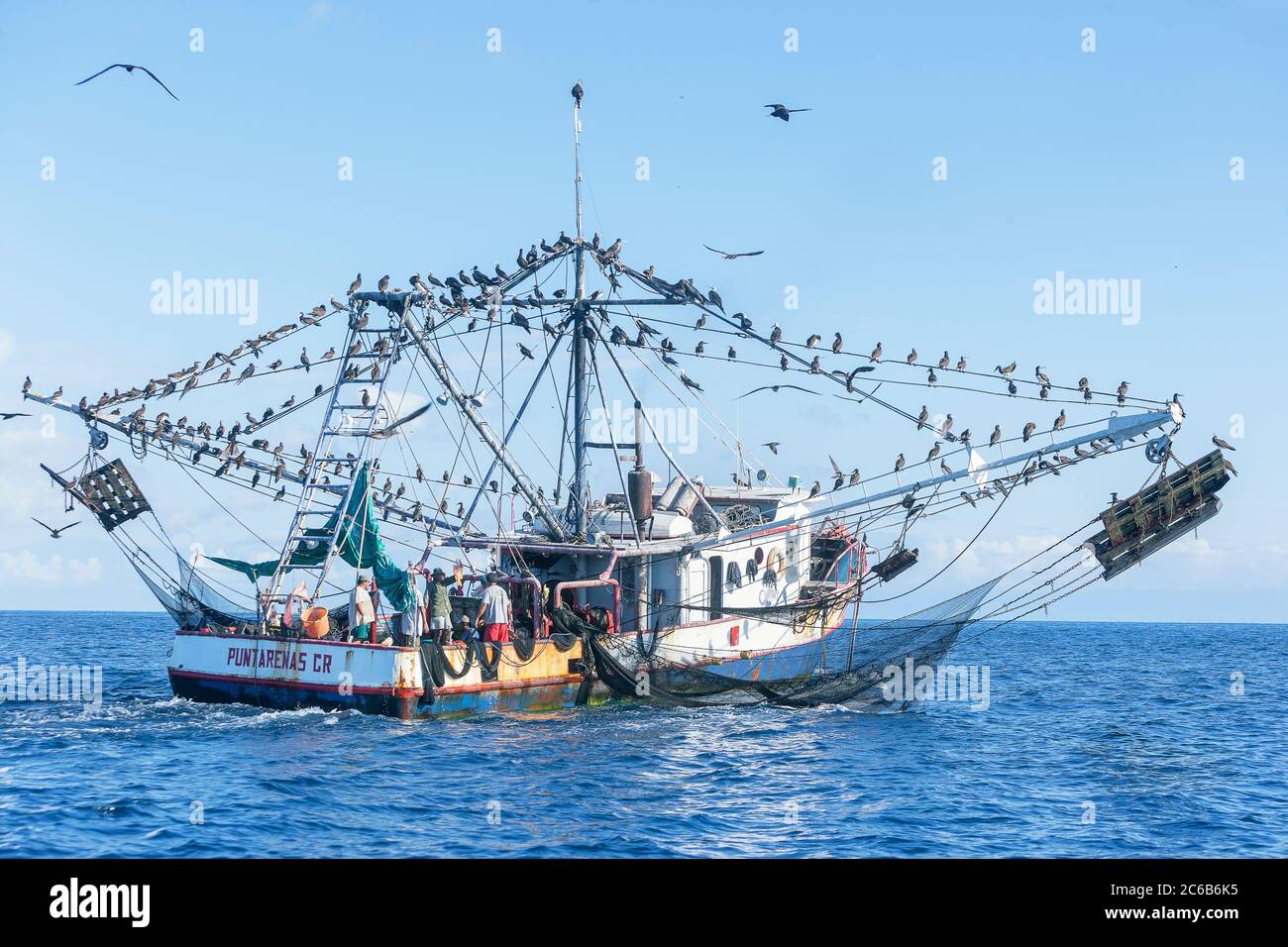 Fishing boat accompanied by a flock of birds, Drake Bay, Osa Peninsula, Costa Rica, Central America Stock Photo