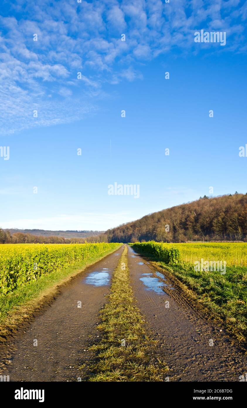 Wet dirt road in rural landscape Stock Photo Alamy