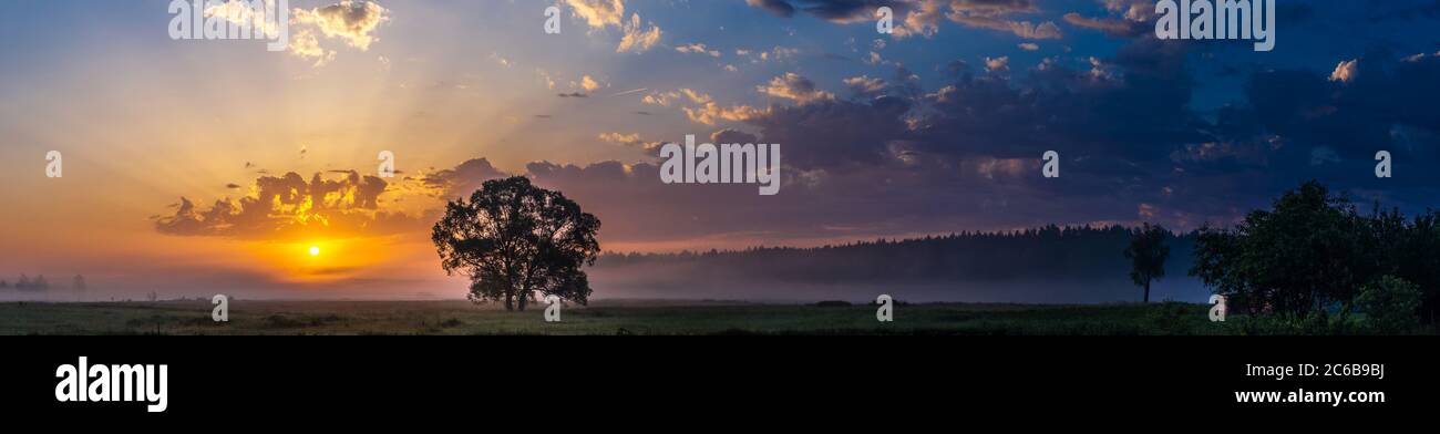 Beautiful sunrise over green field and single tree in a summer morning ...