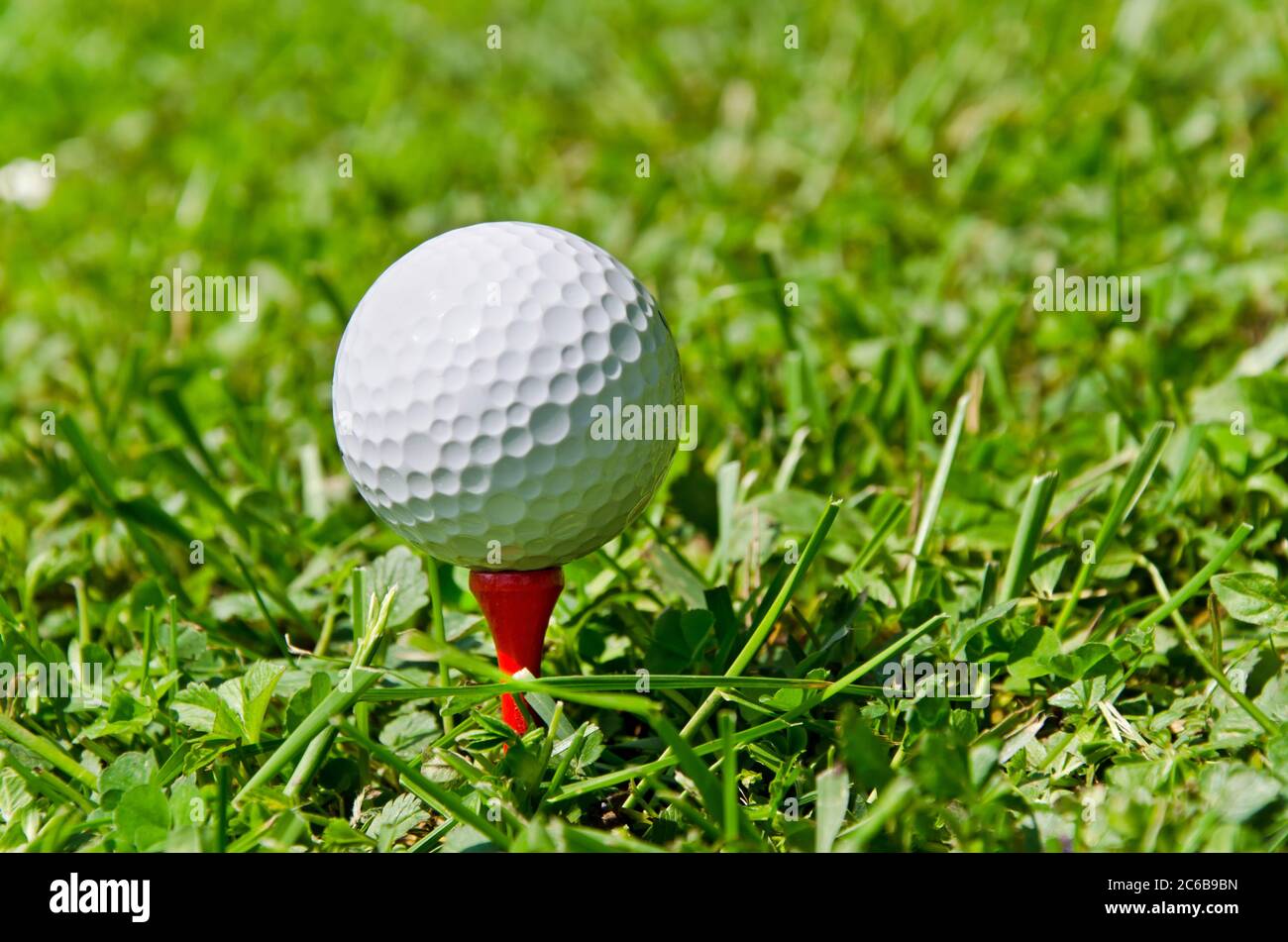 Closeup of a golf ball on the tee Stock Photo