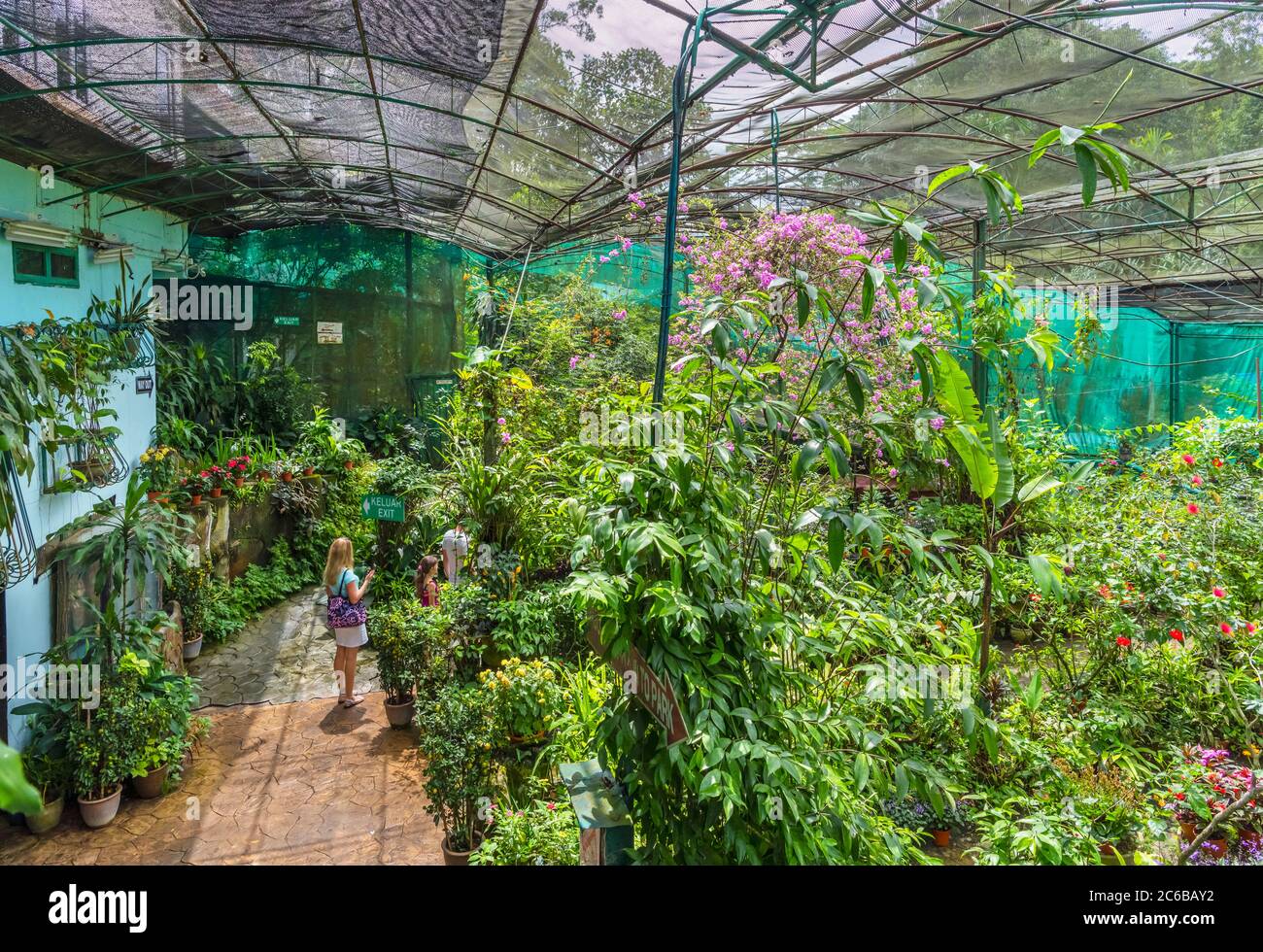 Kuala Lumpur Butterfly Park (Taman Rama Rama Kuala Lumpur), Kuala Lumpur,  Malaysia Stock Photo - Alamy