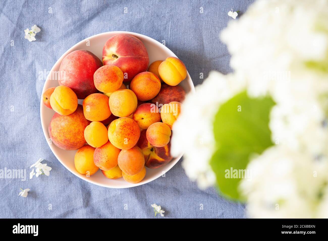 Vase of flowers viburnum opulus Roseum and ripe juicy apricots and peaches , top view Stock Photo