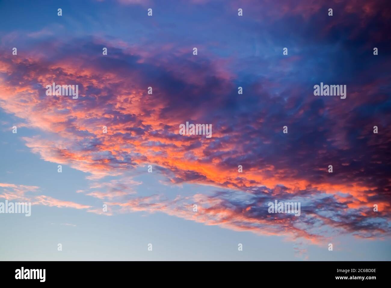 Beautiful pink sunset on the sky. Purple clouds in the sun. Blurred ...