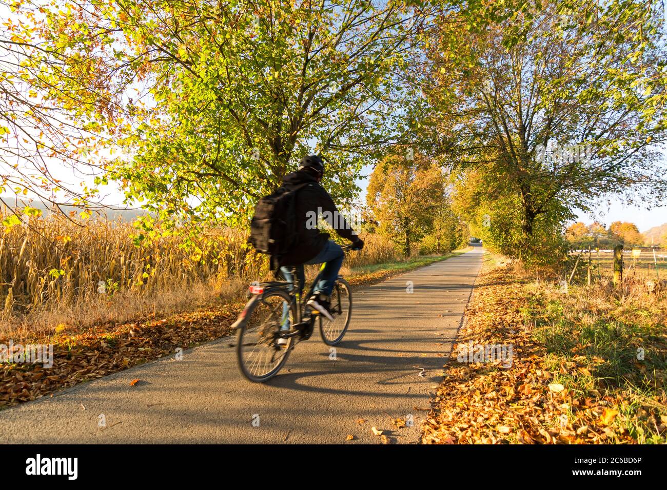 Cyclist on country road in the fall Stock Photo