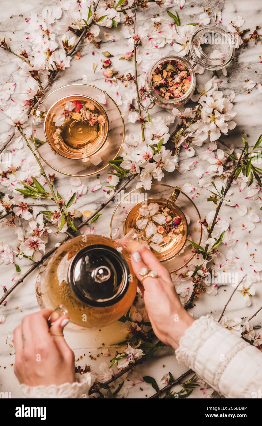 Hand Over Tea Female hands holding teapot with black tea over blossom flowers Stock ...