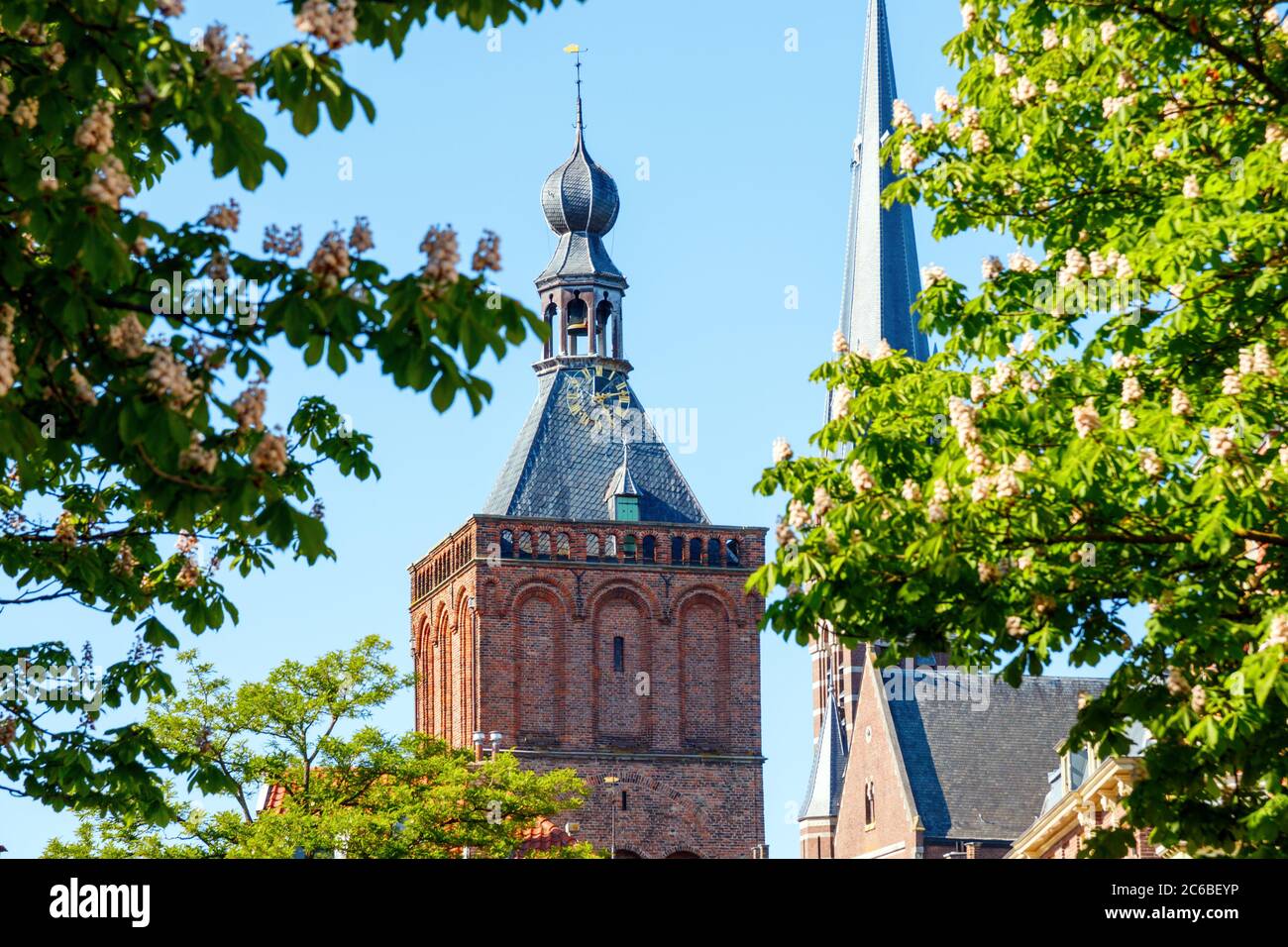 Culemborg. Blooming Chestnut trees (Castanea) and the spires of the Binnenpoort and the St. Barbara church tower. Gelderland, The Netherlands. Stock Photo