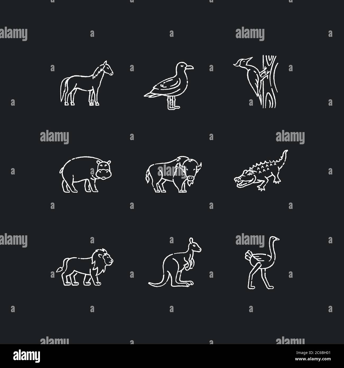 Flying and land animals chalk white icons set on black background. Common birds and exotic wildlife. Diverse herbivore mammals and carnivore predators Stock Vector