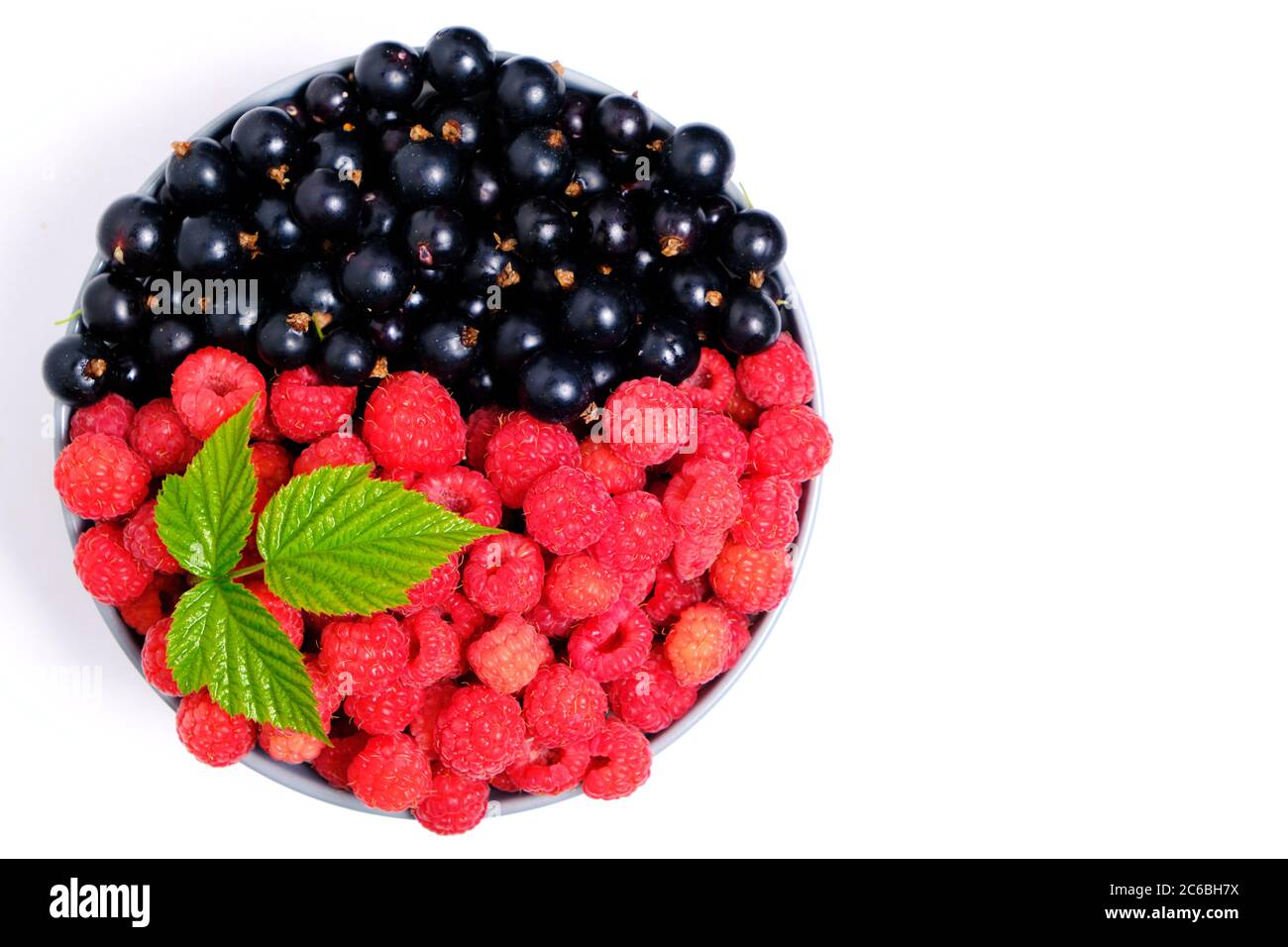 Raspberry and blackcurrant berries in a Cup view from the top on a ...