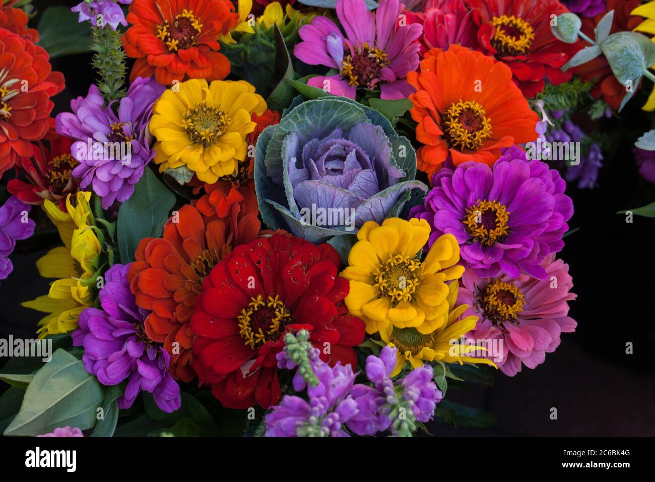 Autumn flowers for sale at the Madison farmers market in Wisconsin