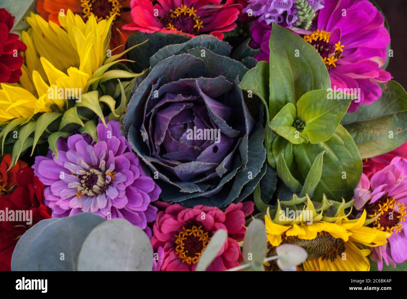 Autumn flowers for sale at the Madison farmers market in Wisconsin Stock Photo Alamy