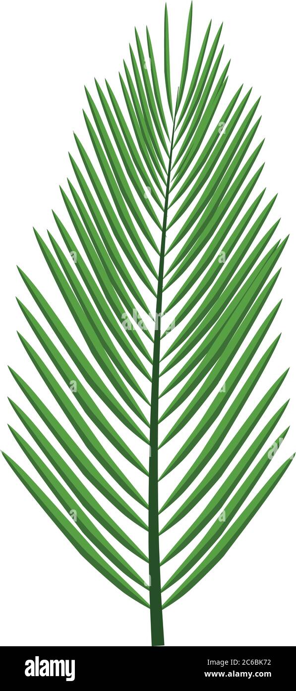 Washingtonia palm tree Stock Vector Images - Alamy