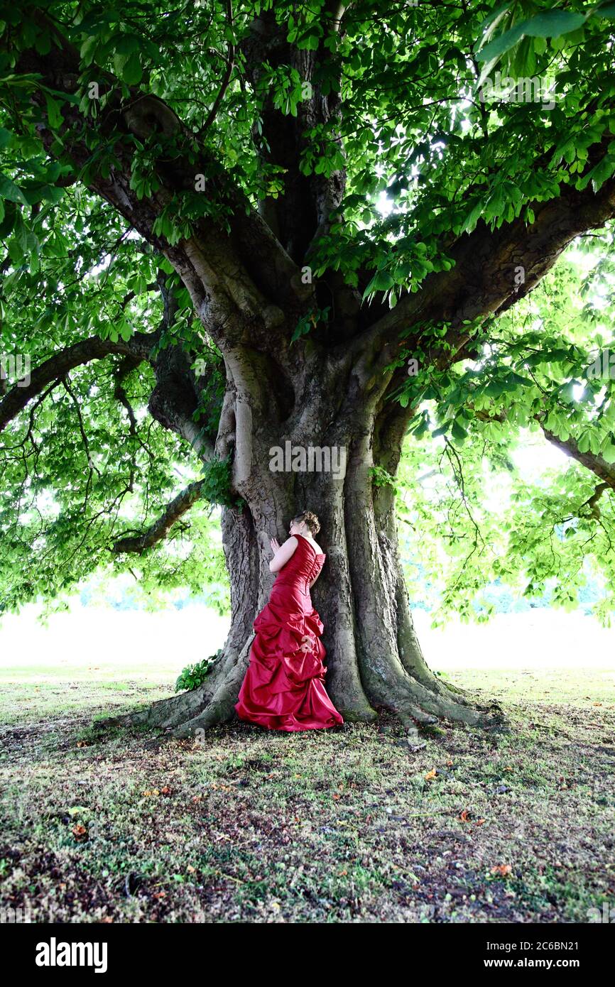 Arborphilia hi-res stock photography and images - Alamy