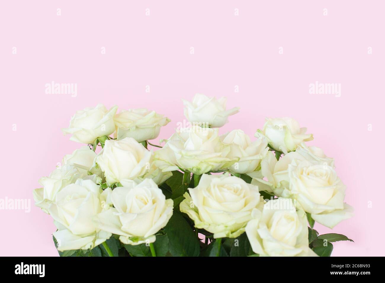 Beautiful bouquet of white roses on pink background Stock Photo - Alamy