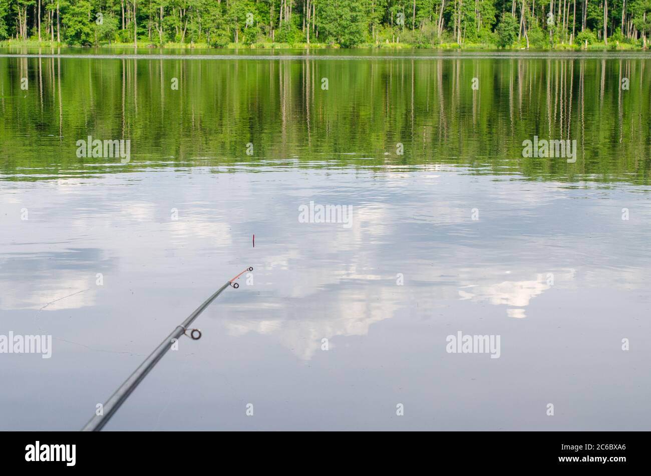 surface fishing rod