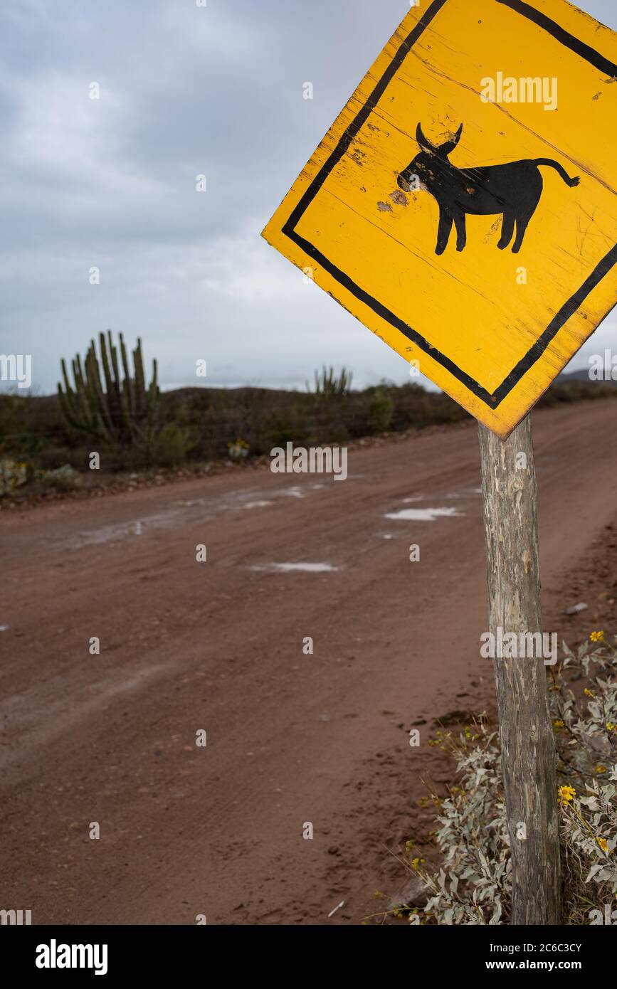 Bright yellow caution sign made of wood alongside a dirt road in the desert warns of free-range donkeys in the area. Stock Photo