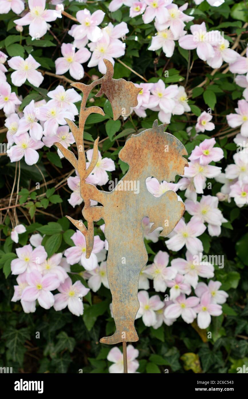 rust garden decoration angel and clematis montana Rubens in pink Stock Photo