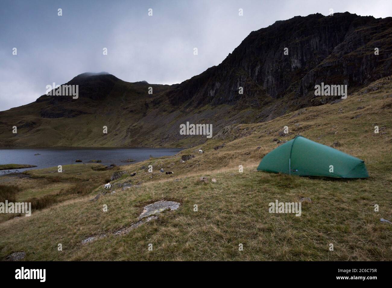 Wild Camping At Stickle Tarn In The Langdale Fells Of The English Lake District Stock Photo Alamy