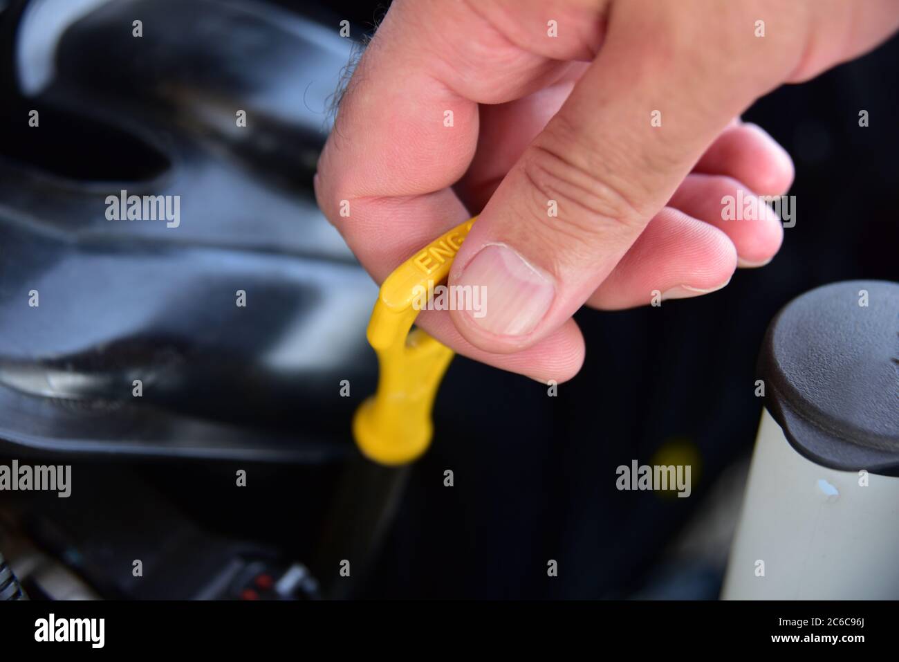 Checking the engine oil. A Person Checking the Motor Oil in Their Car Stock Photo