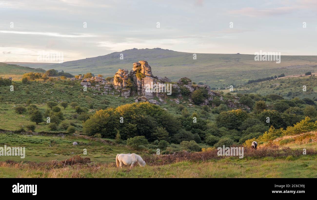 Vixen Tor, Dartmoor Stock Photo