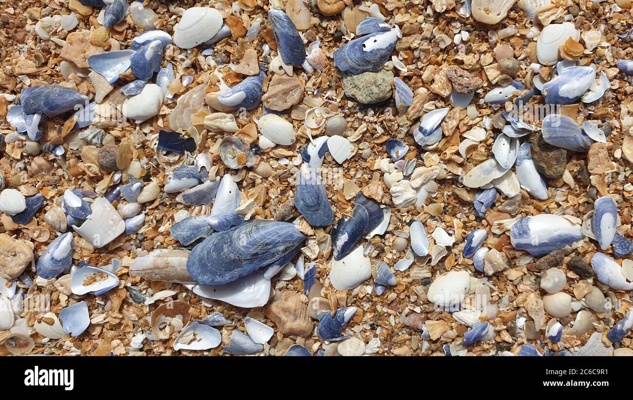 Spherical Shell High Resolution Stock Photography and Images - Alamy