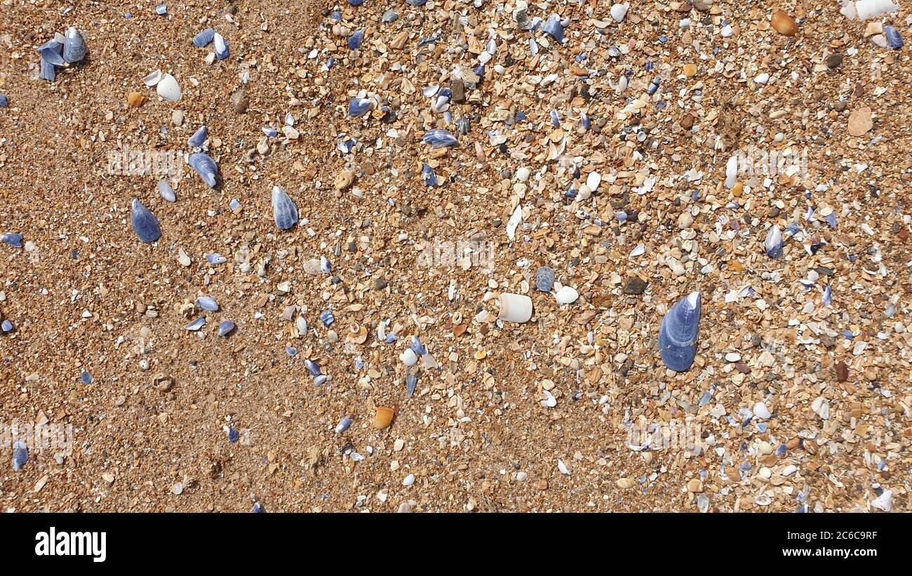 Spherical Shell High Resolution Stock Photography and Images - Alamy