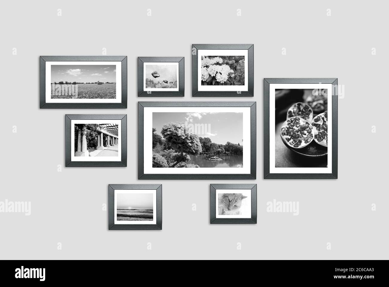 Photo frames on the wall. Photography portfolio, photo lab concept Stock Photo