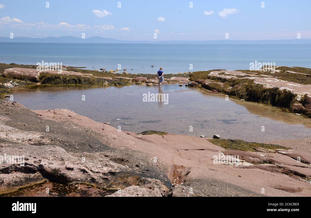 Rock Pool, Ministers Island, New Brunswick Stock Photo Alamy