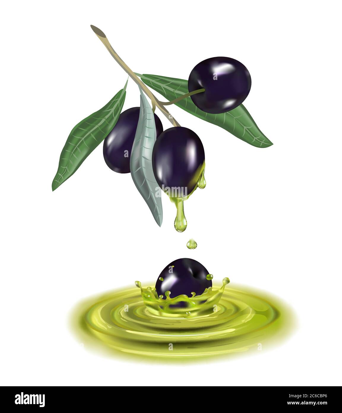 Olive oil with branch. Realistic 3d fruits. Drop of oil splash Stock