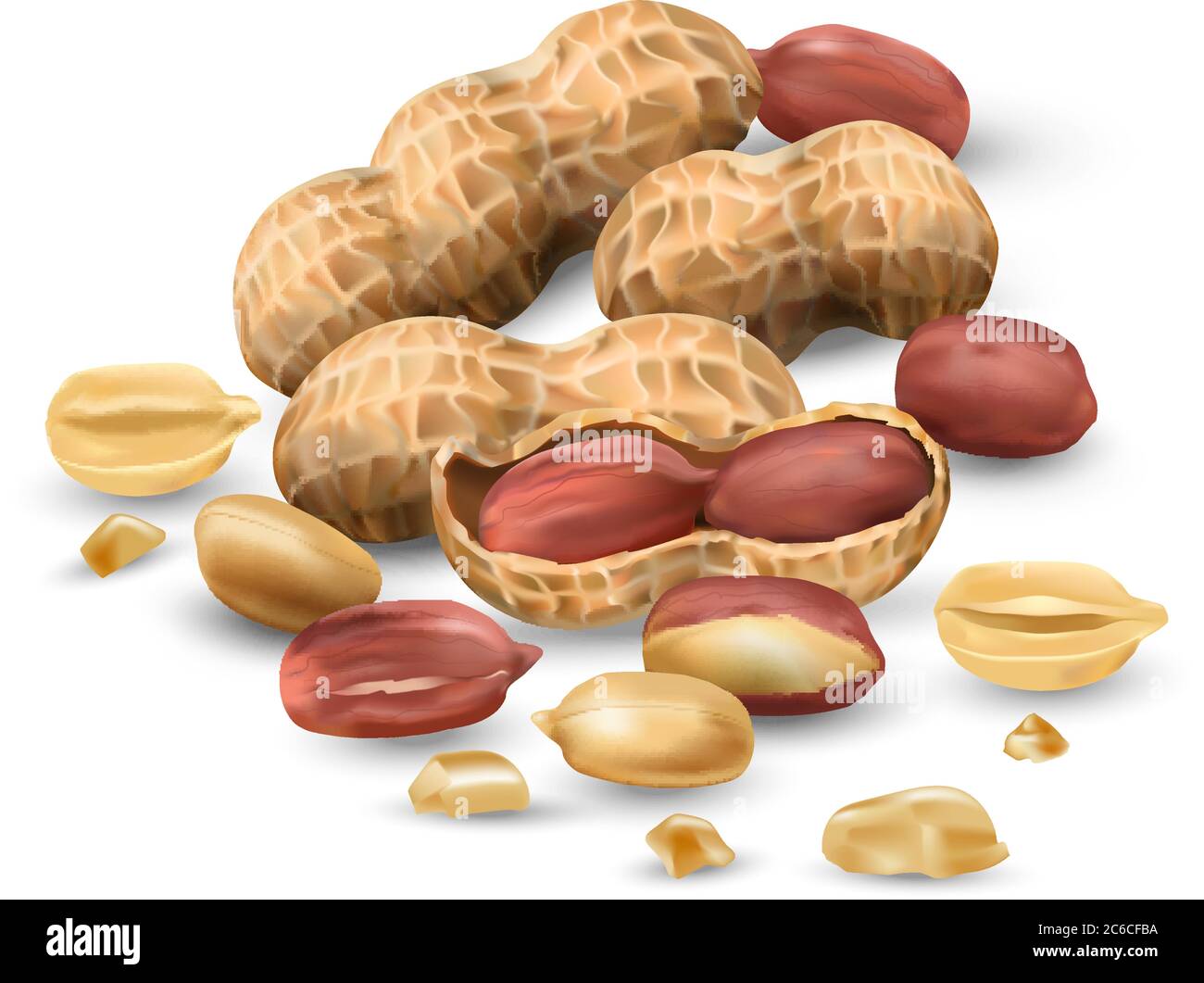 Peanuts in vector 3D illustration realistic. For packaging with peanut butter, nut mix. Vegetable protein for vegetarians, a useful product. Stock Vector