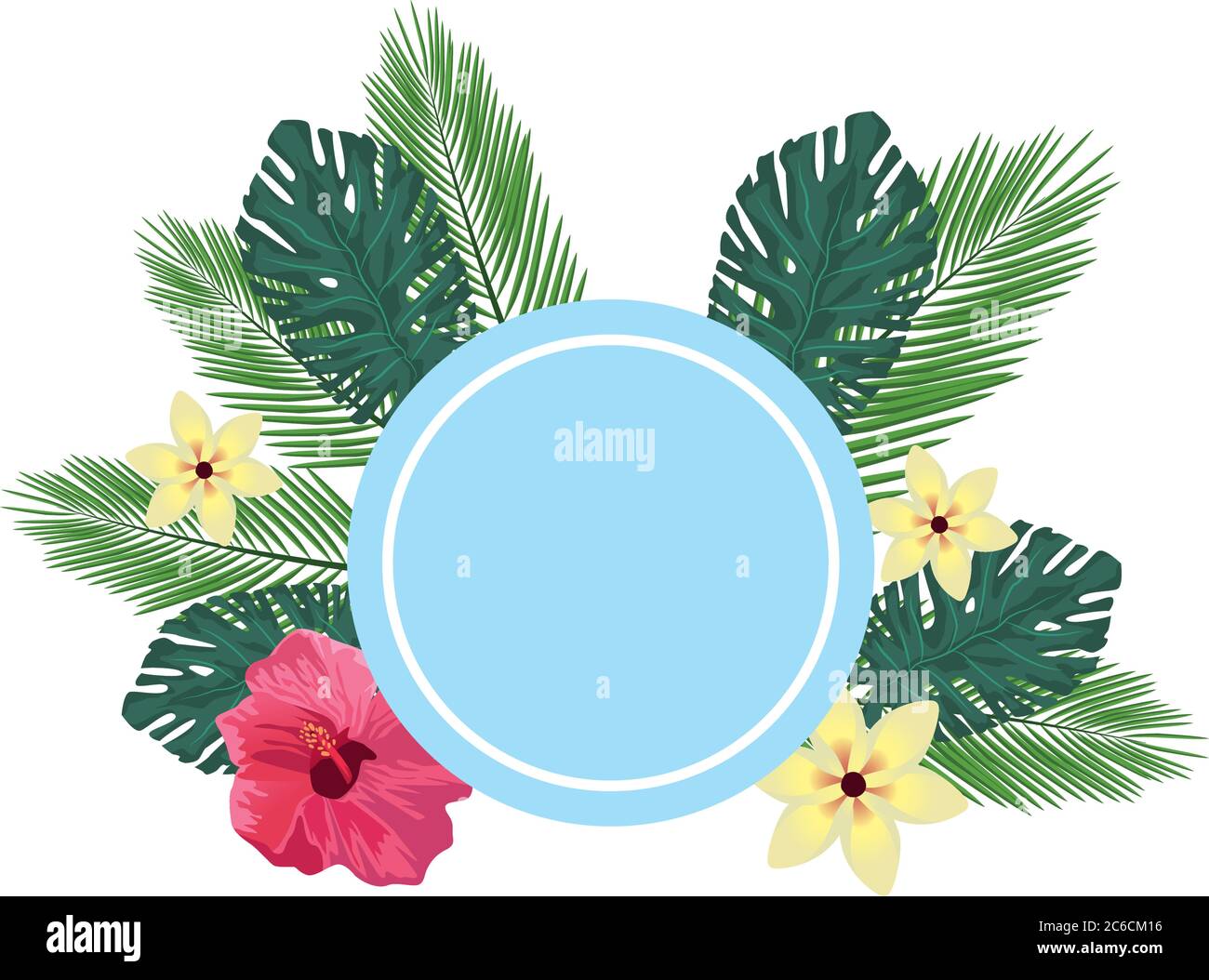 tropical leafs palms and flowers circular frame vector illustration ...