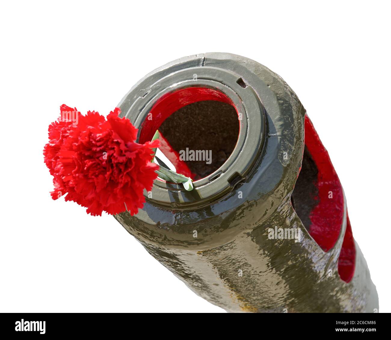 Red Carnation in the muzzle of the gun barrel in the memory of the events of World War II. Isolated on white Stock Photo