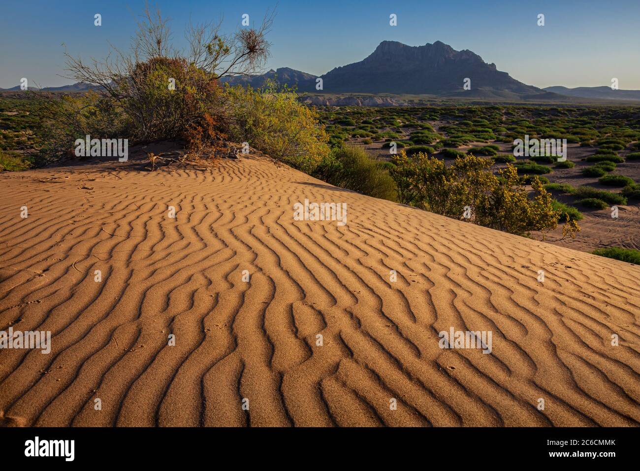 Hot Well Dunes provides unique desert habitat and recreational opportunities. Southern Arizona. Stock Photo
