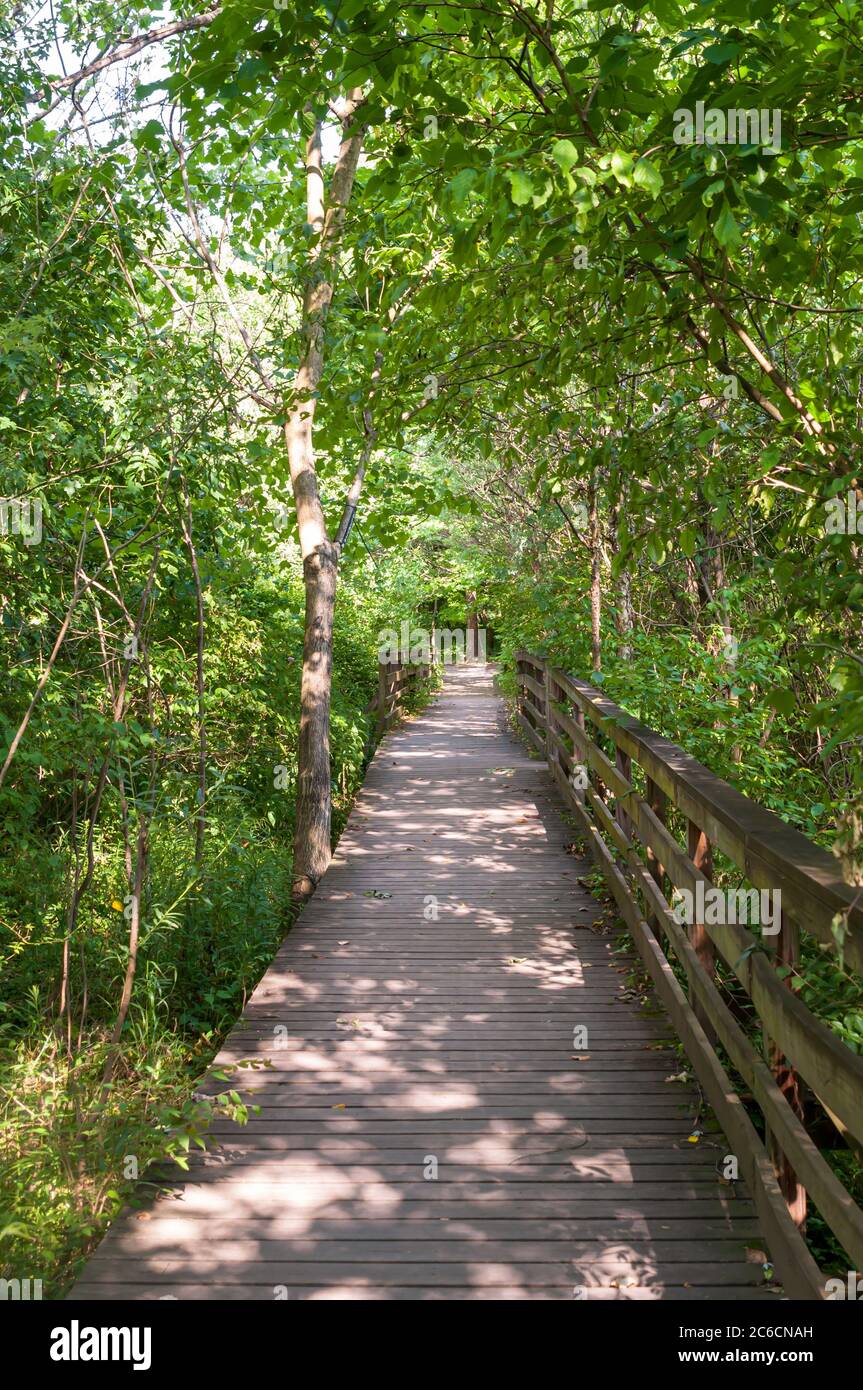 A wooden walking bridge in Frick Park on a sunny summer day, Pittsburgh, Pennsylvania, USA Stock Photo