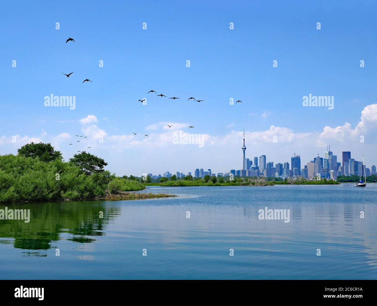 Tommy Thomson Park on Lake Ontario is a bird and nature sanctuary, with the downtown Toronto skyline visible in the far distance Stock Photo