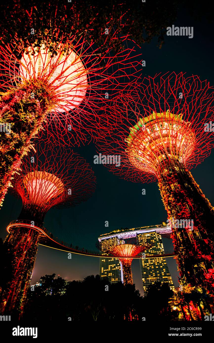 Garden Rhapsody Supertree Light Show Gardens By The Bay Singapore 