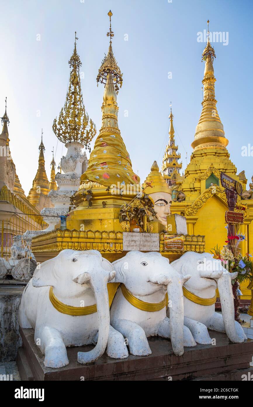 A close-up view of elephant carvings at the Shwedagon Pagoda in Yangon, Myanmar Stock Photo