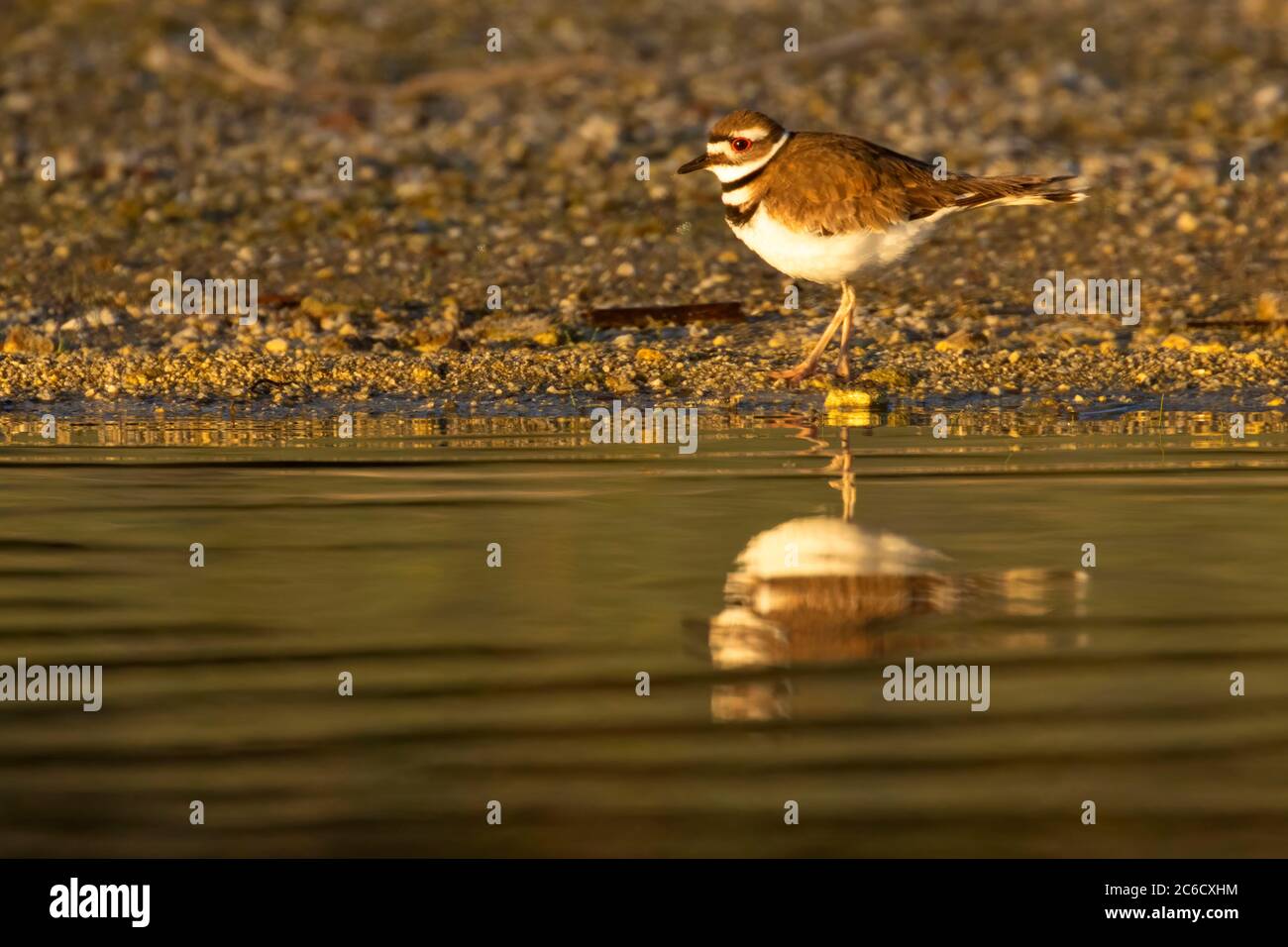 Cascade lakes scenic byway lava hires stock photography and images Alamy