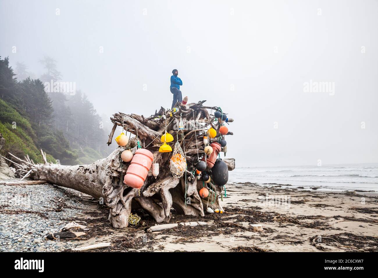 A man stands atop a giant driftwood tree root ball decorated with washed up buoys on the Washington Coast, Olympic National Park Coastal Strip. Stock Photo