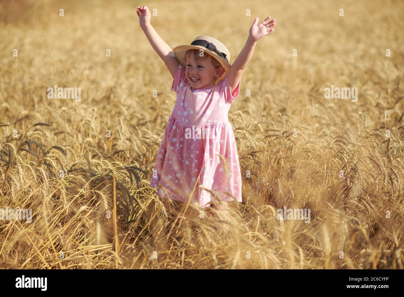 A cute little girl stands in a wheat field, in a rose dress with a hat ...