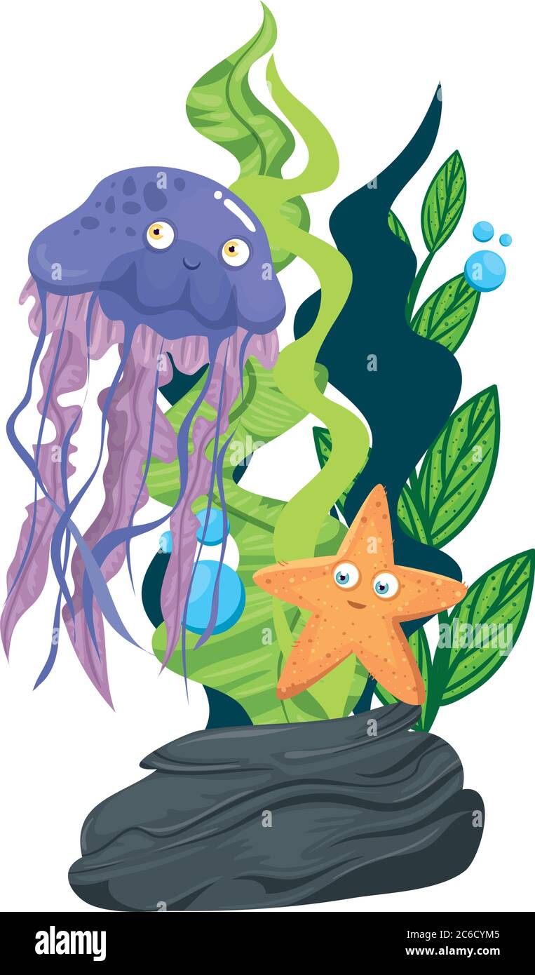 sea underwater life, jellyfish with starfish and seaweed on white