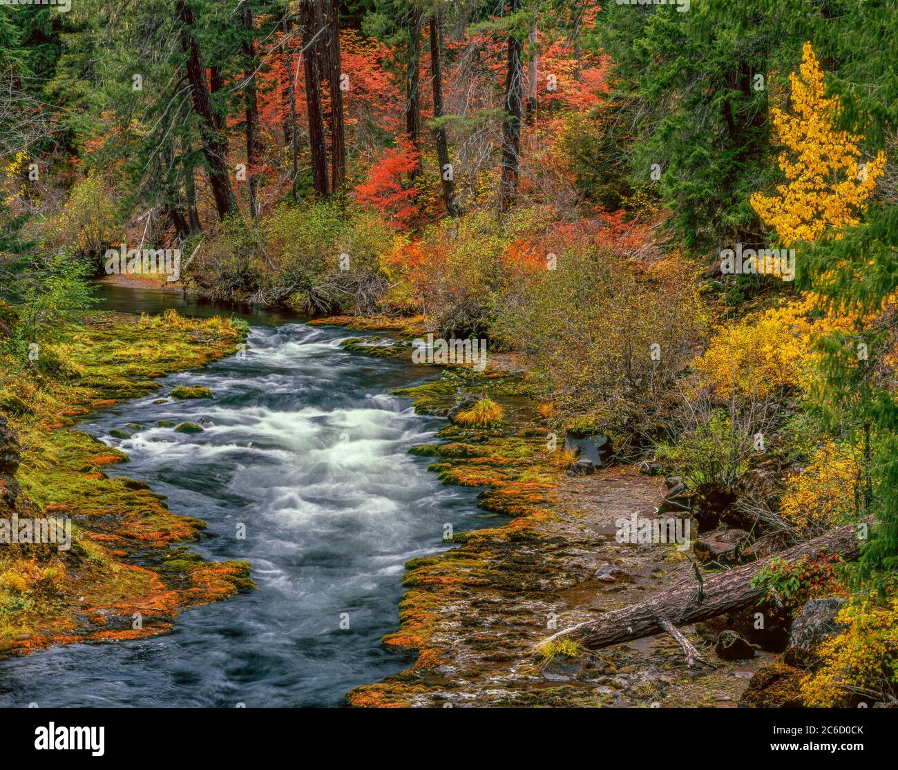 Takelma Gorge, Rogue River, Rogue River National Wild and Scenic River, Oregon, Rogue River National Forest, Oregon Stock Photo
